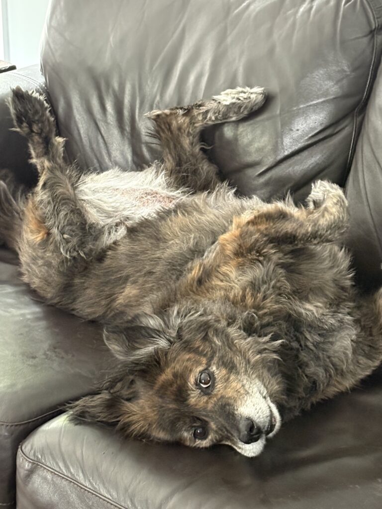 Allie is a rollover position